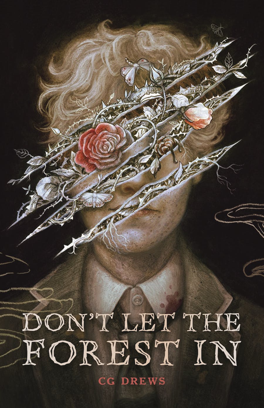 Don't Let the Forest In Book Cover